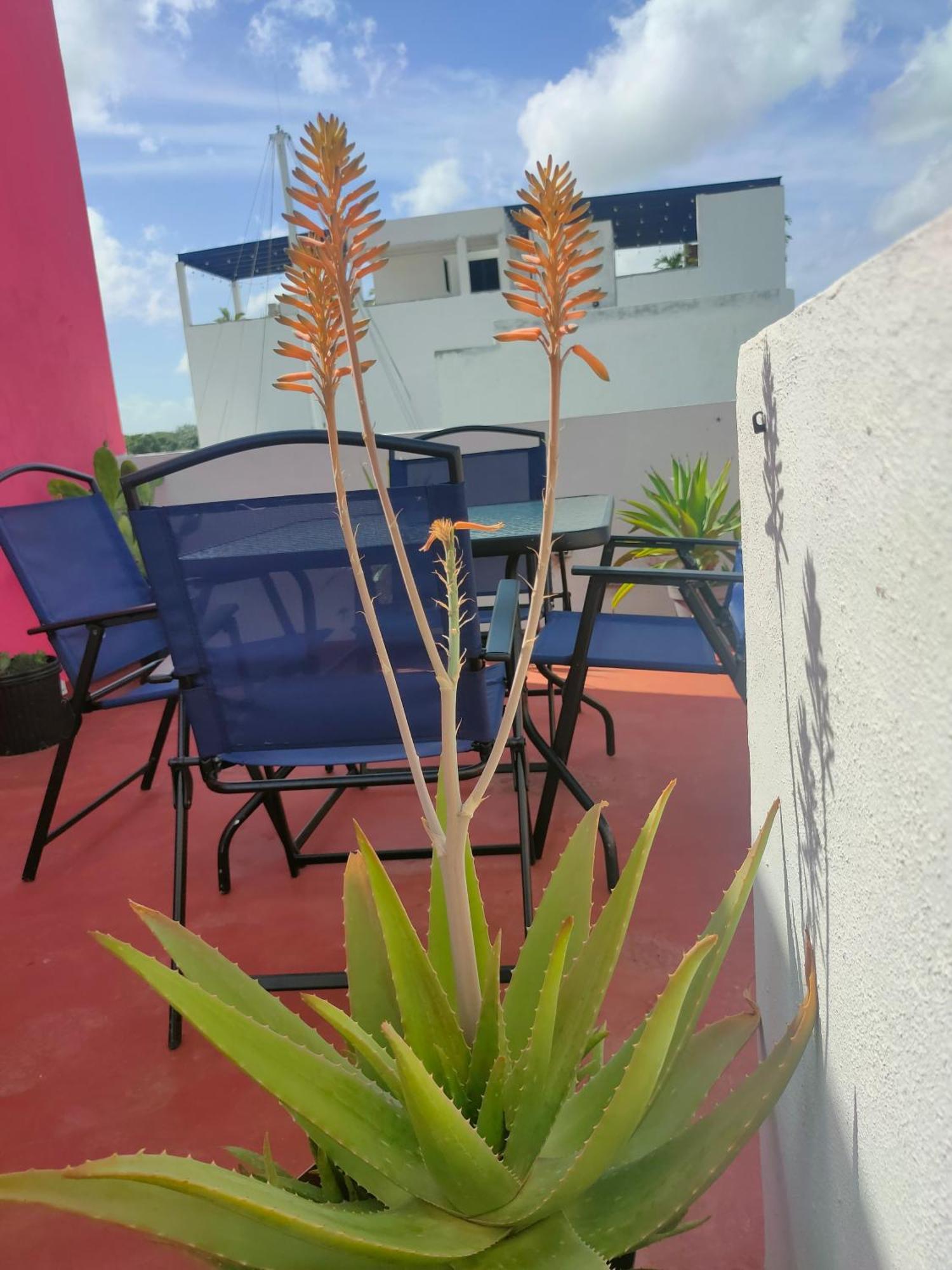 Casa Coraza Apartman Cancún Kültér fotó