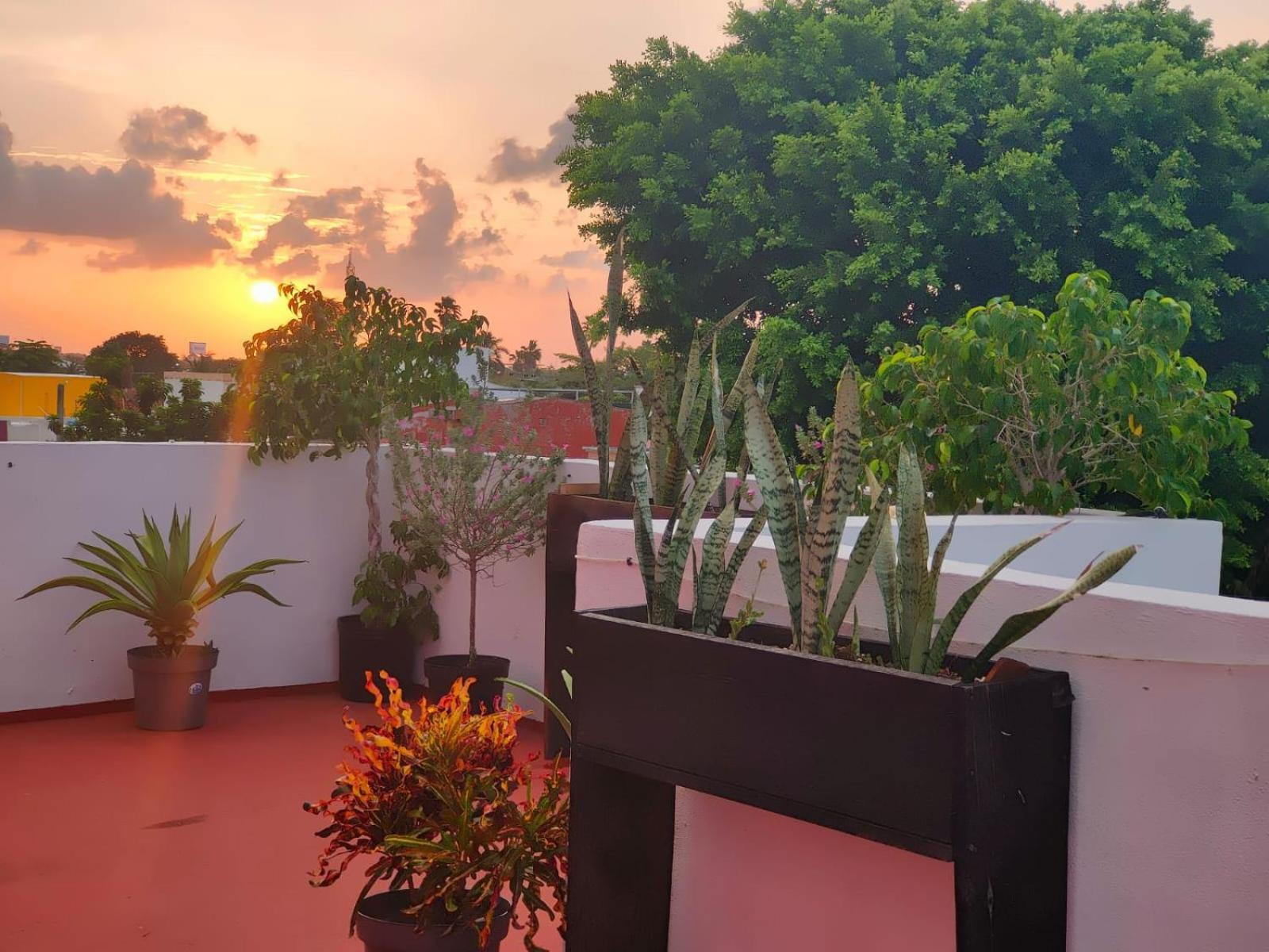 Casa Coraza Apartman Cancún Kültér fotó