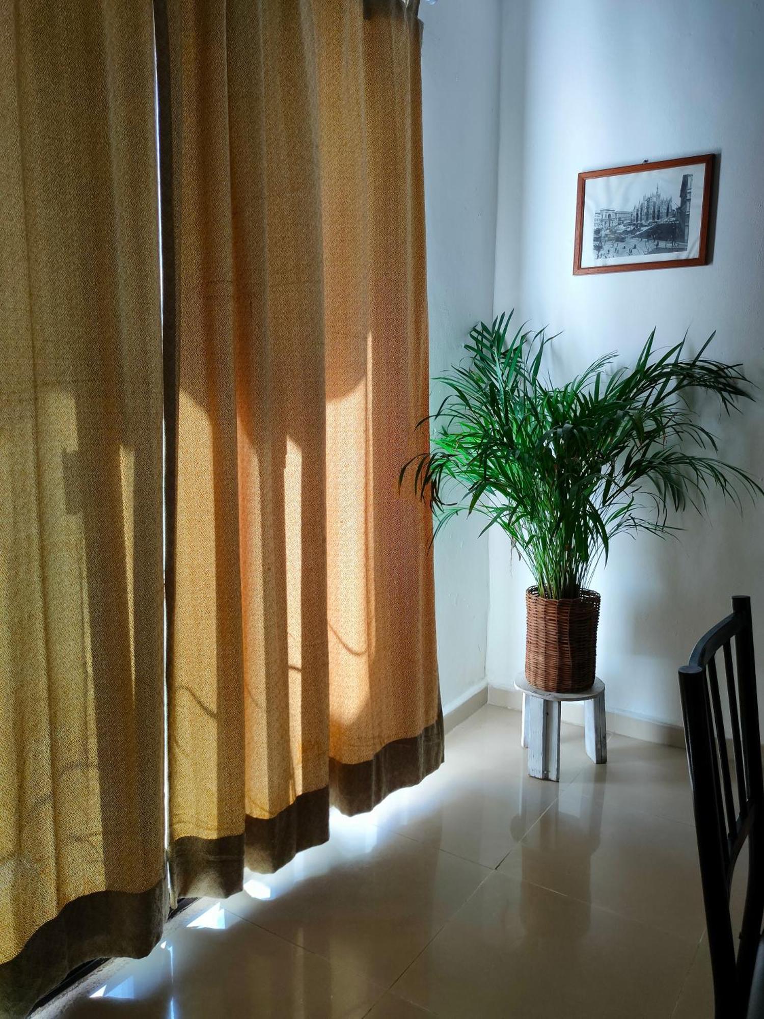 Casa Coraza Apartman Cancún Kültér fotó
